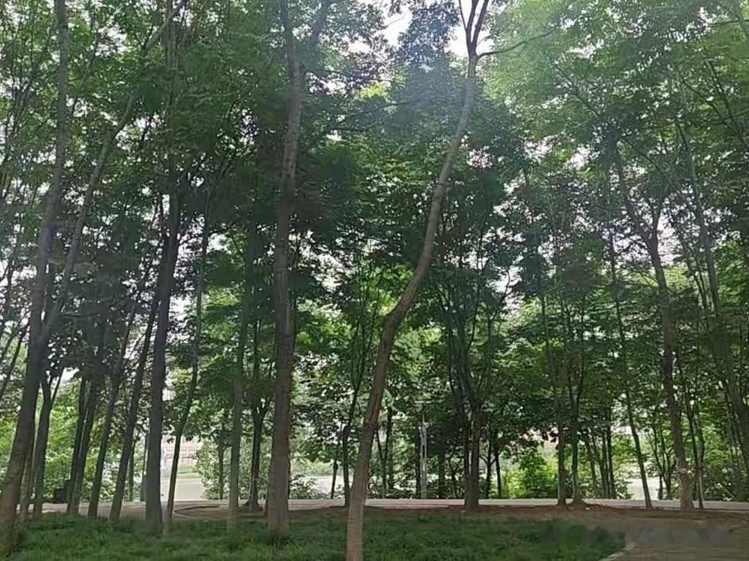 生活感悟
 
      真诚就像内裤，人人都穿在身上，没人能看清别人到底有没有