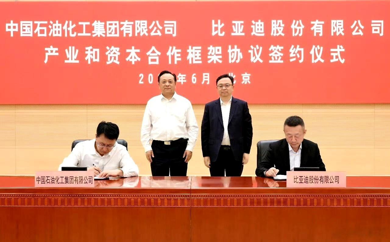 来了来了，以后中石化是不是就能标配闪充桩了！加油站有场地有管理，天然适合做闪充站