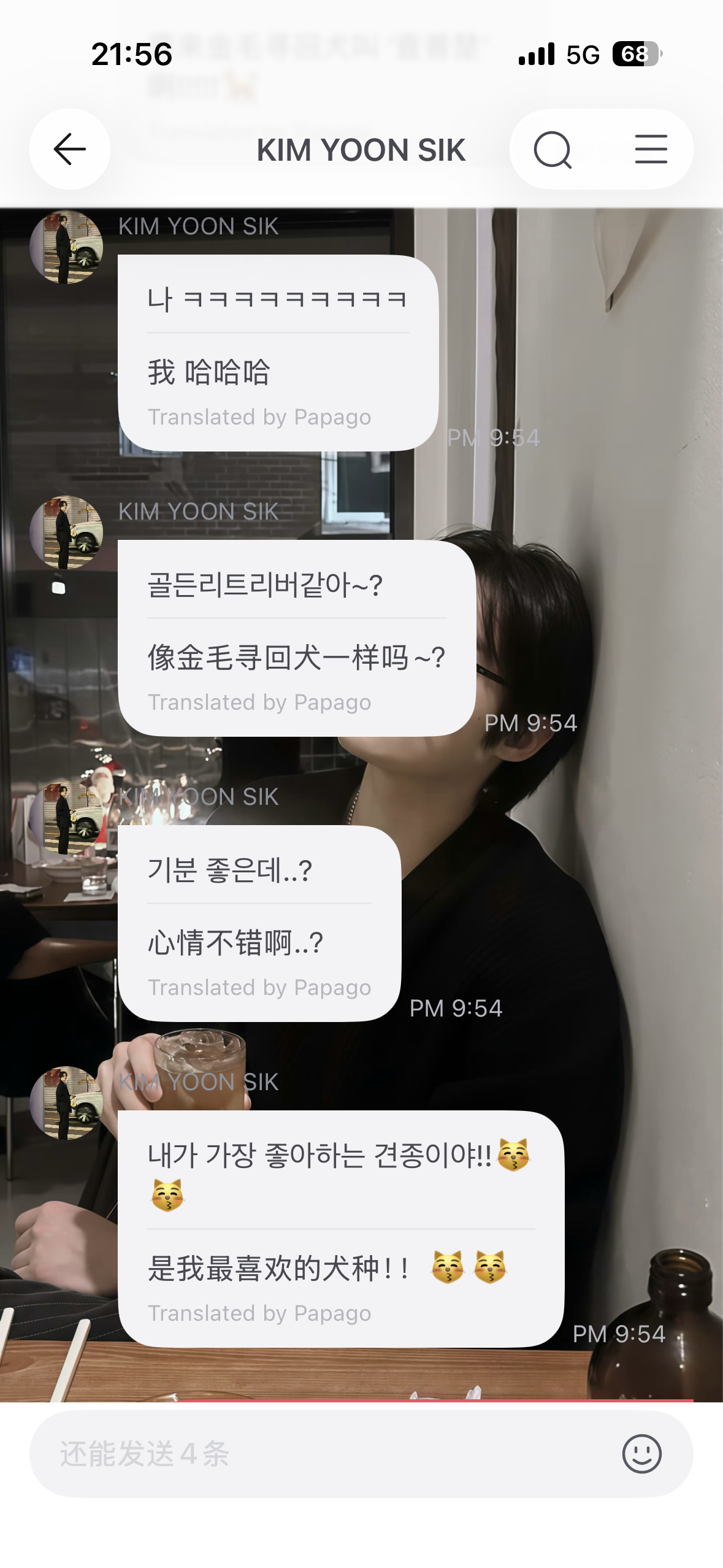公主力挺狗塑 