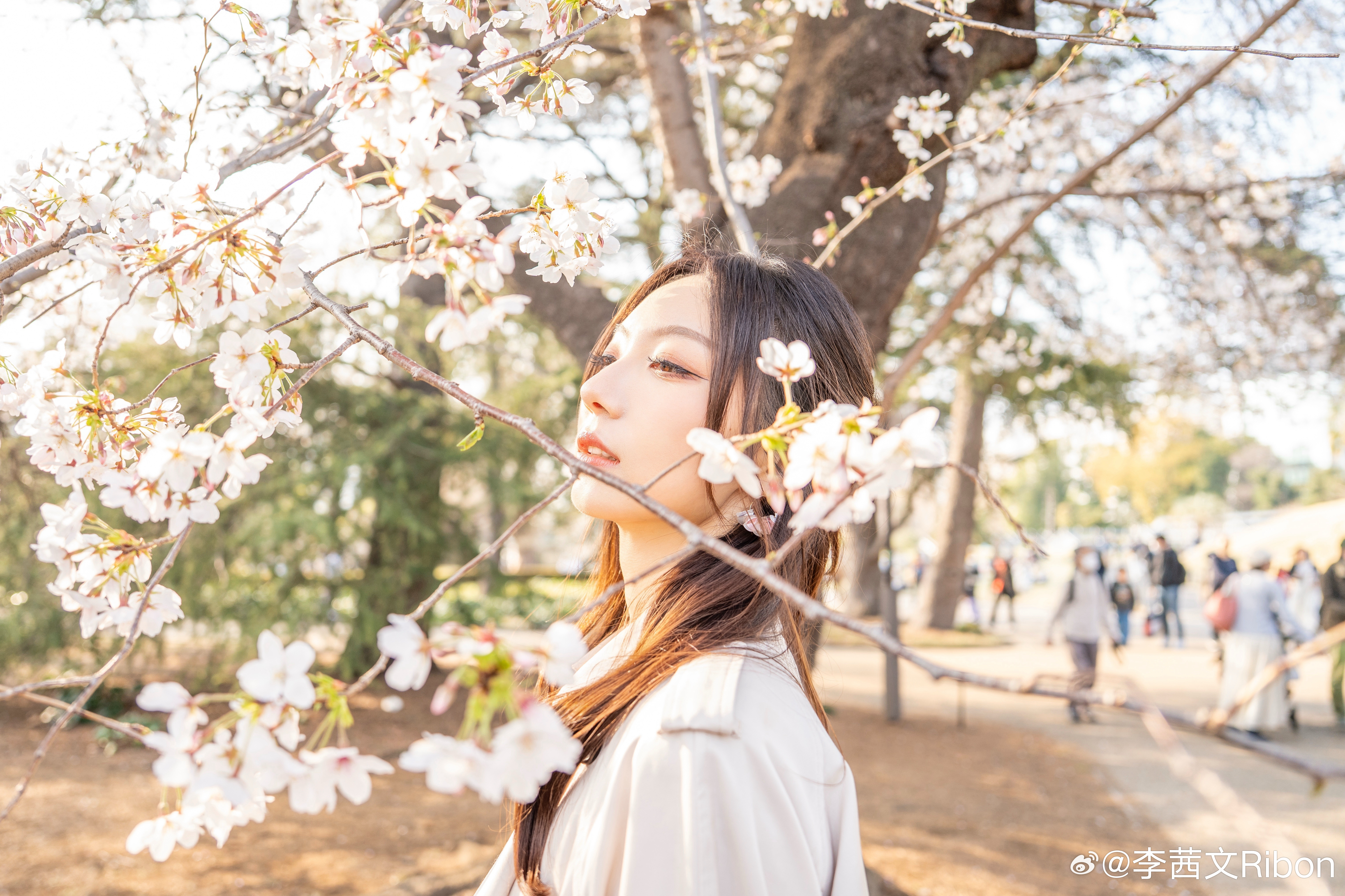 📸站在春天中间🫧相册里留存的春日美景是怎么拍都好看的春天