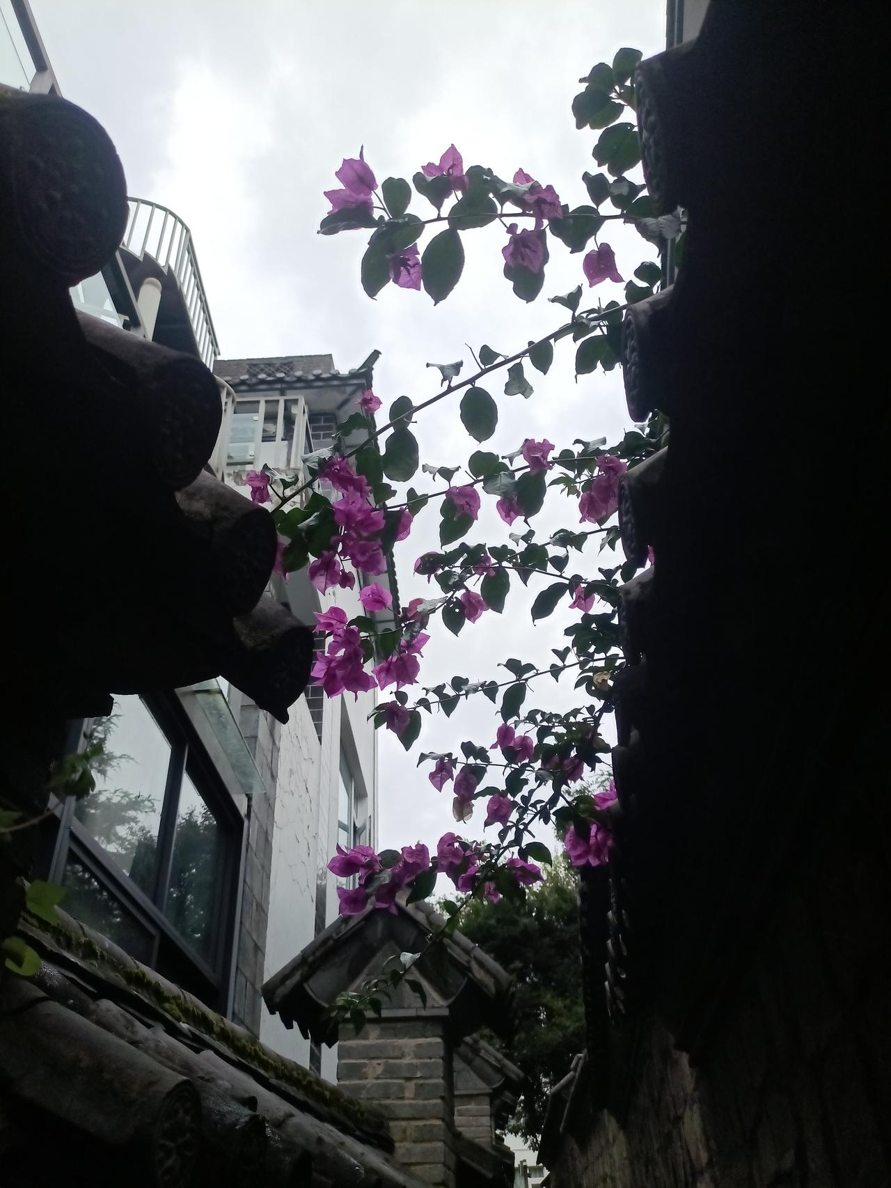 热爱生活，记录美好生活人间烟火气