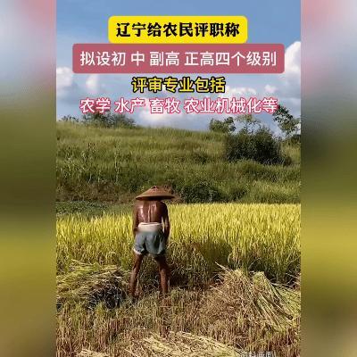 辽宁这波操作，把农民也纳入评职称的队伍里，听着就暖心！以后种地、养殖的老乡们，也