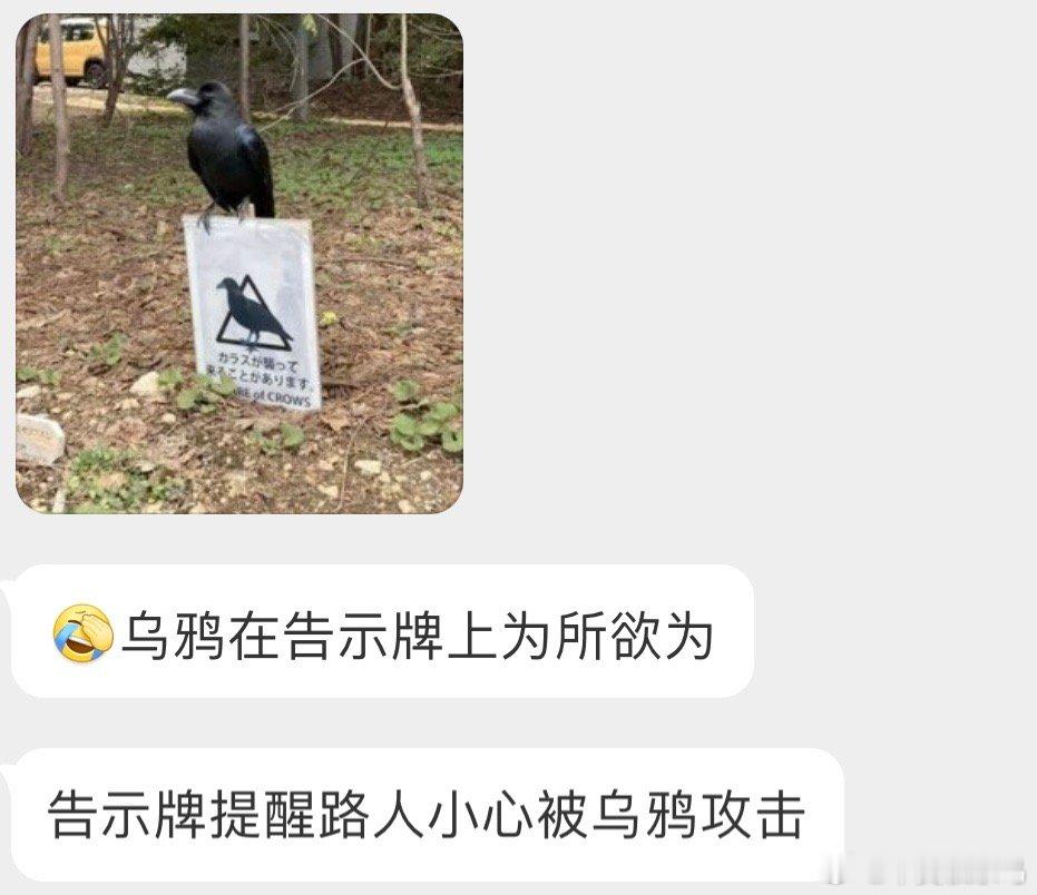 好嚣张的大嘴乌鸦🙊 ​​​