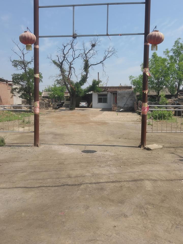 拍一张我的城市美景古树老街