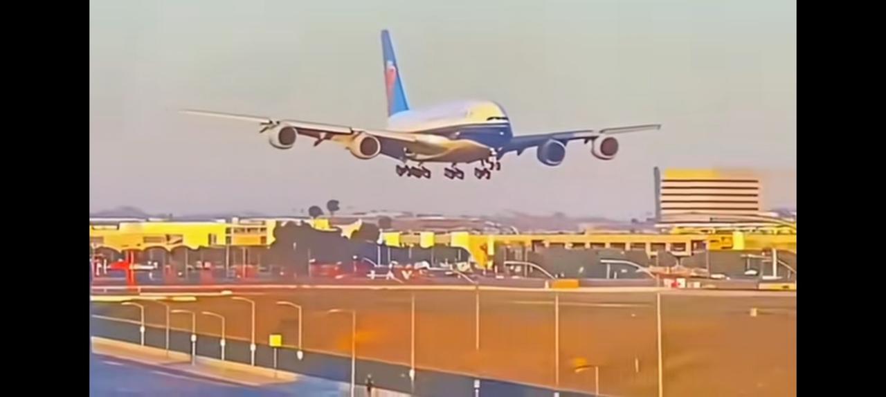 你以为她不想把台湾带回祖国？问题是力所不逮。
郑丽文妥妥地彝族女性，她的根就在云