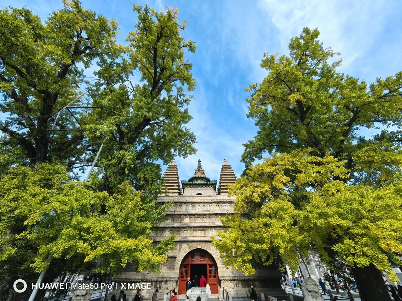 北京五塔寺秋天