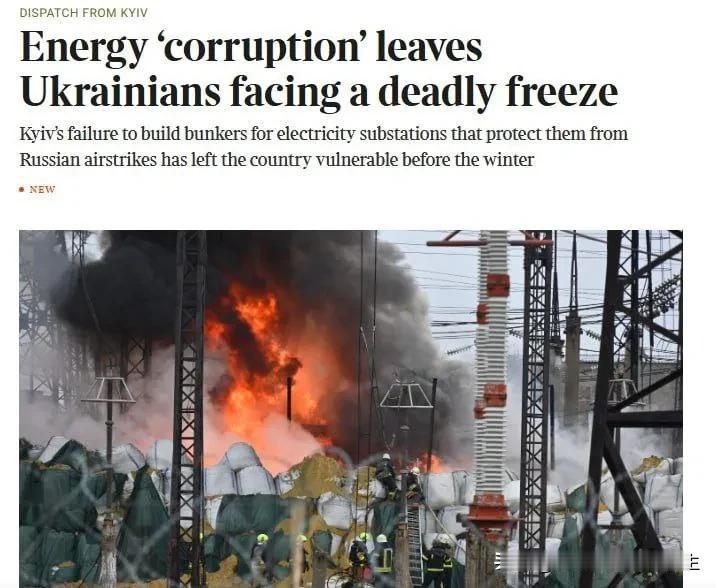 🎦 《泰晤士报》写道: