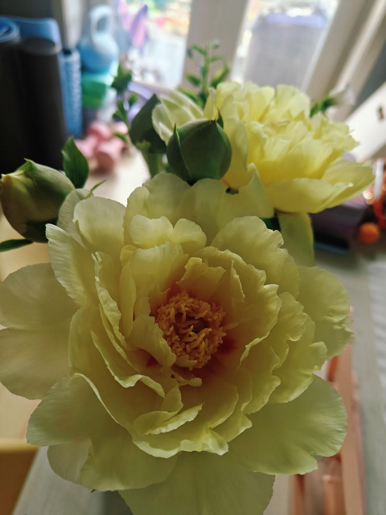 头老是昏昏沉沉的，听到中医大师说要少洗头，于是我一忍再忍，打破了自己的记录，直到