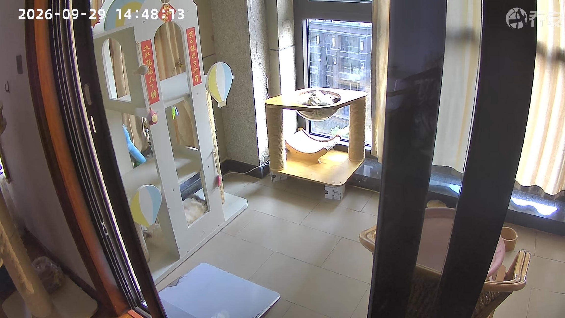 远在新疆偷窥我的宝宝[拜托] ​​​