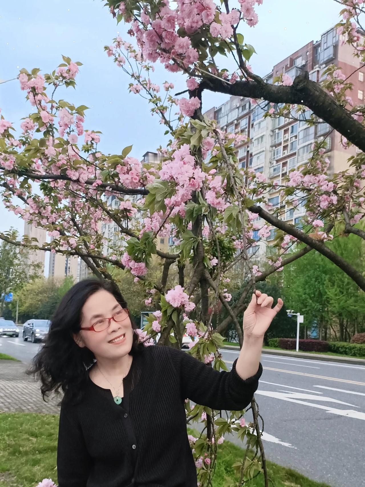 分享一下你拍的花朵春日赏花樱花大道(株洲)