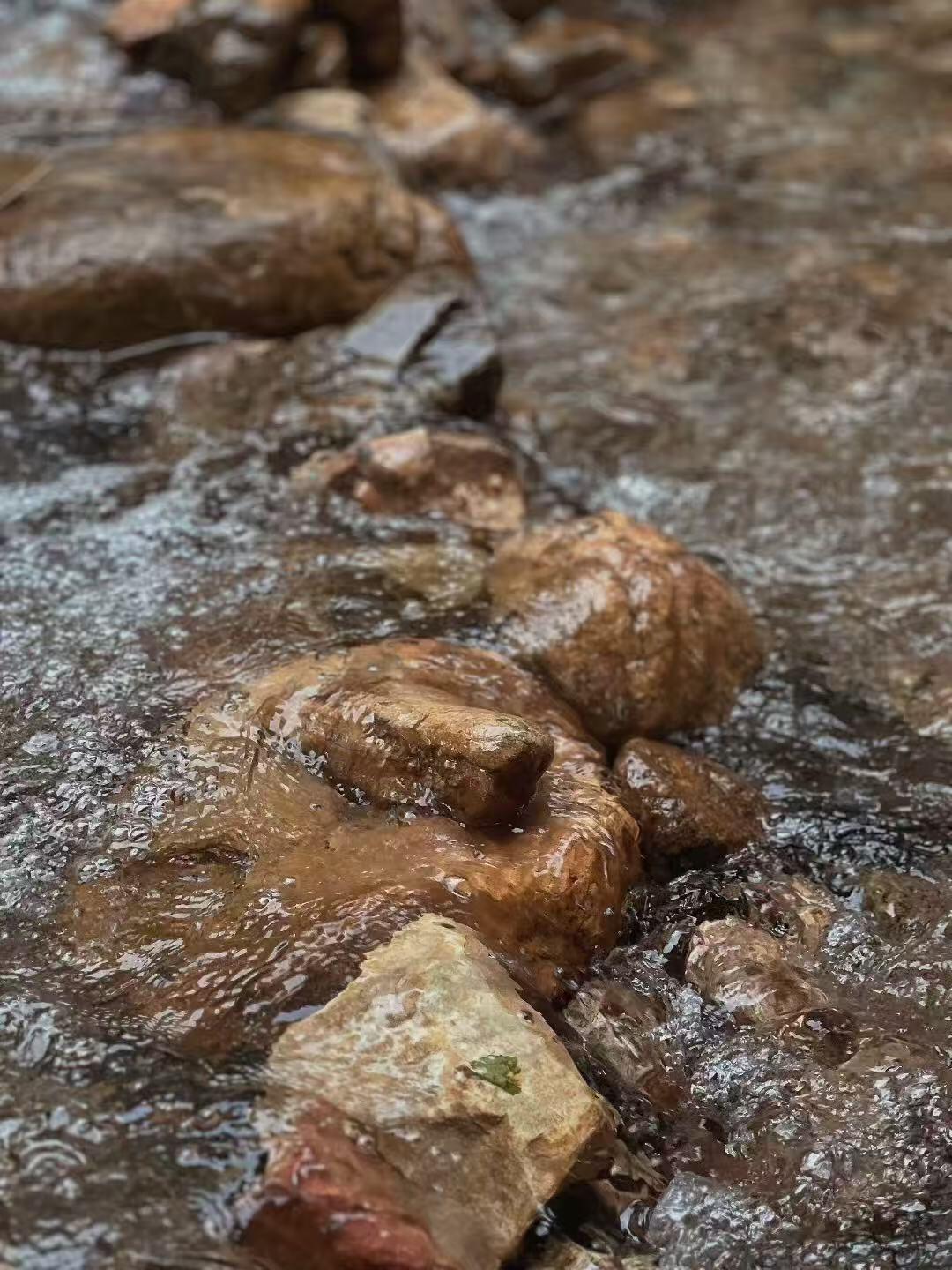 这个水真好，小溪流！