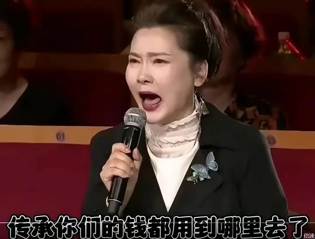 何赛飞怒斥：钱去哪儿了？

“你们口口声声梅花奖、文华奖，几百万几千万，花那么多