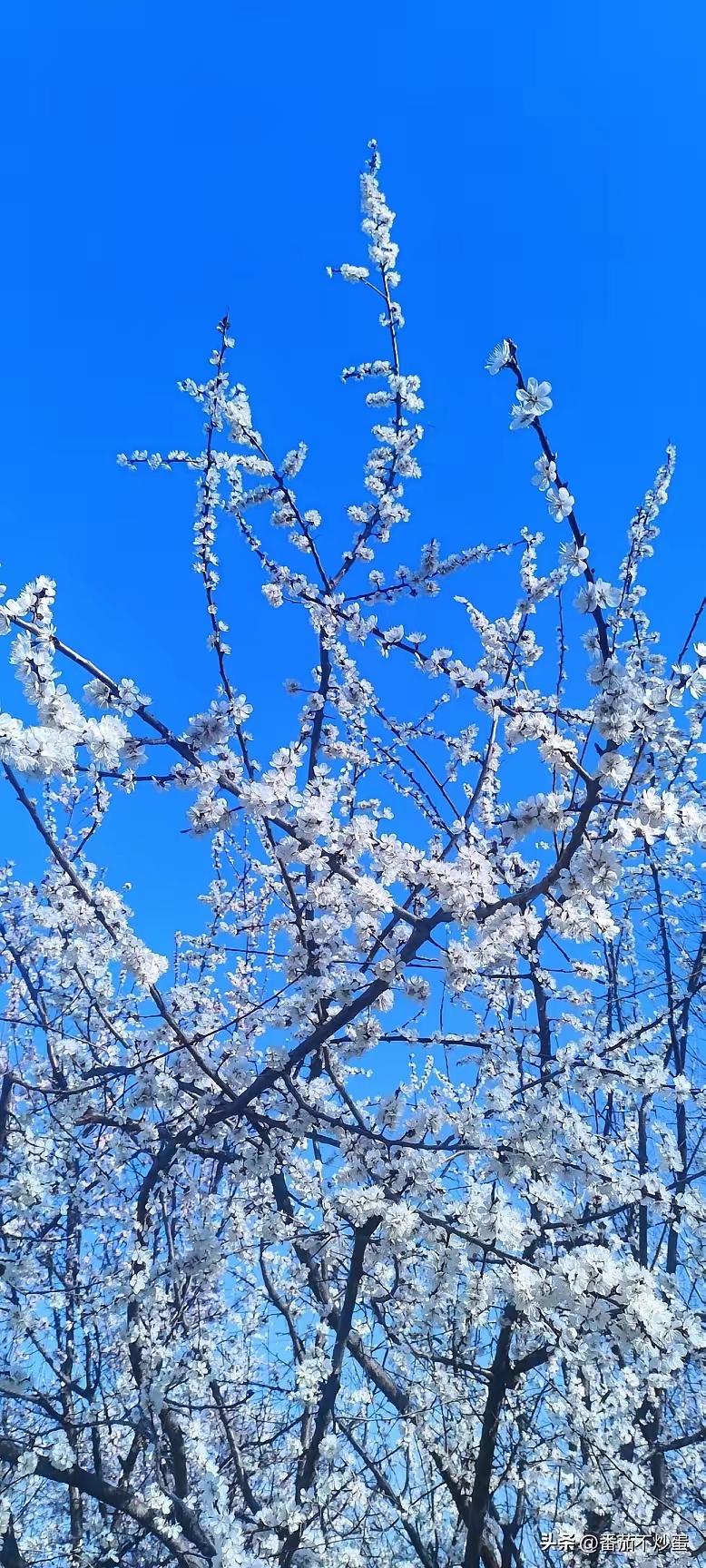 我们分析各运动员的输赢都是客观分析，对比对比，才写稿子，不是人云亦云，甚至有的网