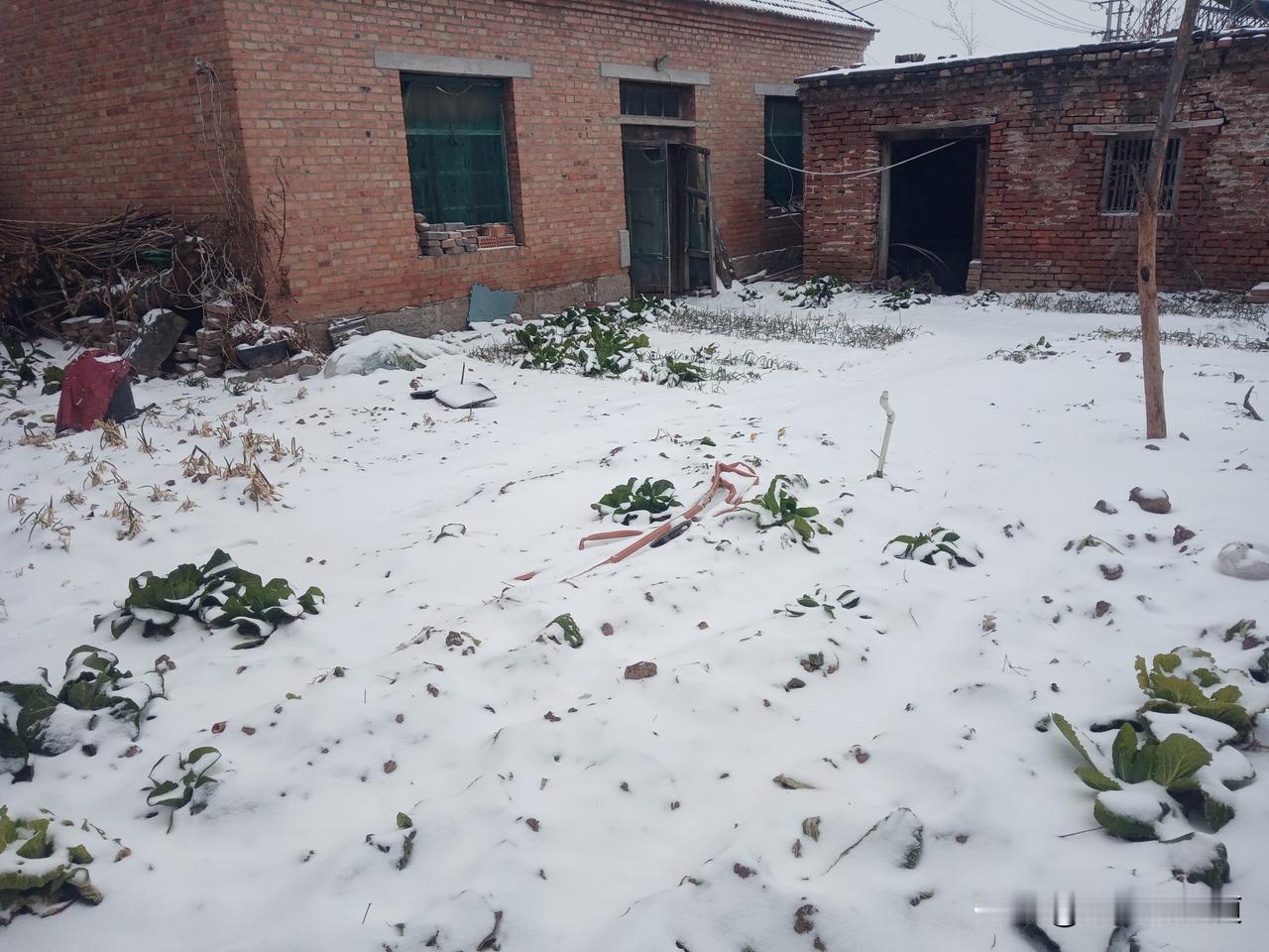 六月十九晴，百日霜打头
六月十九火烧天，寒冬腊月雪连天
六月十九似蒸茏，庄稼定有