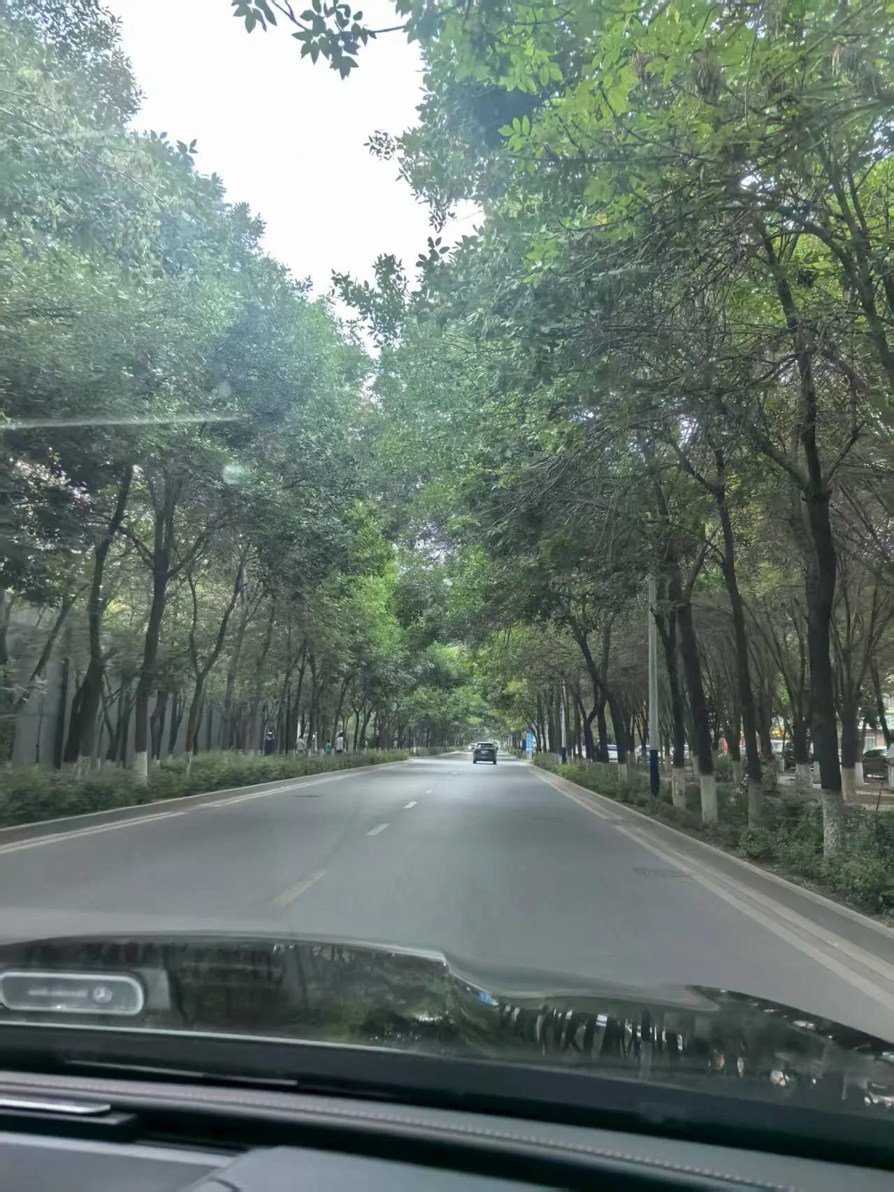 乌鲁木齐开发区科技园路，十多年前，这里一片荒芜，树木稀少，如今真的成了满目翠绿的