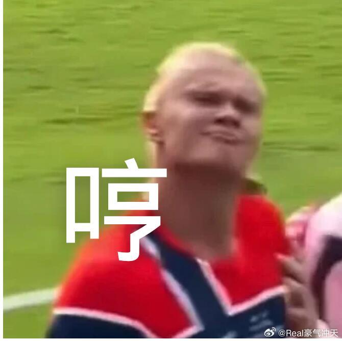 世界杯 哈兰德整理了一些哈兰德的表情包，顺便也想收集一些哈兰德的表情包，哈兰德就
