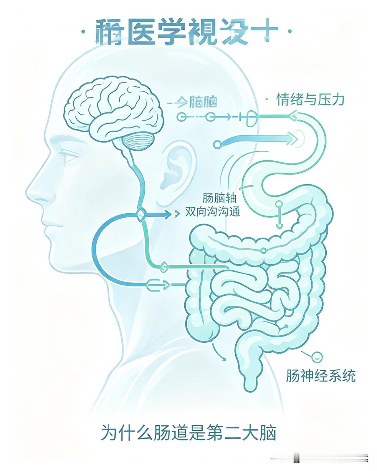 为什么肠道是人体的第二大脑?
肠道有一套独立神经网络，可以自主控制消化。通过“肠