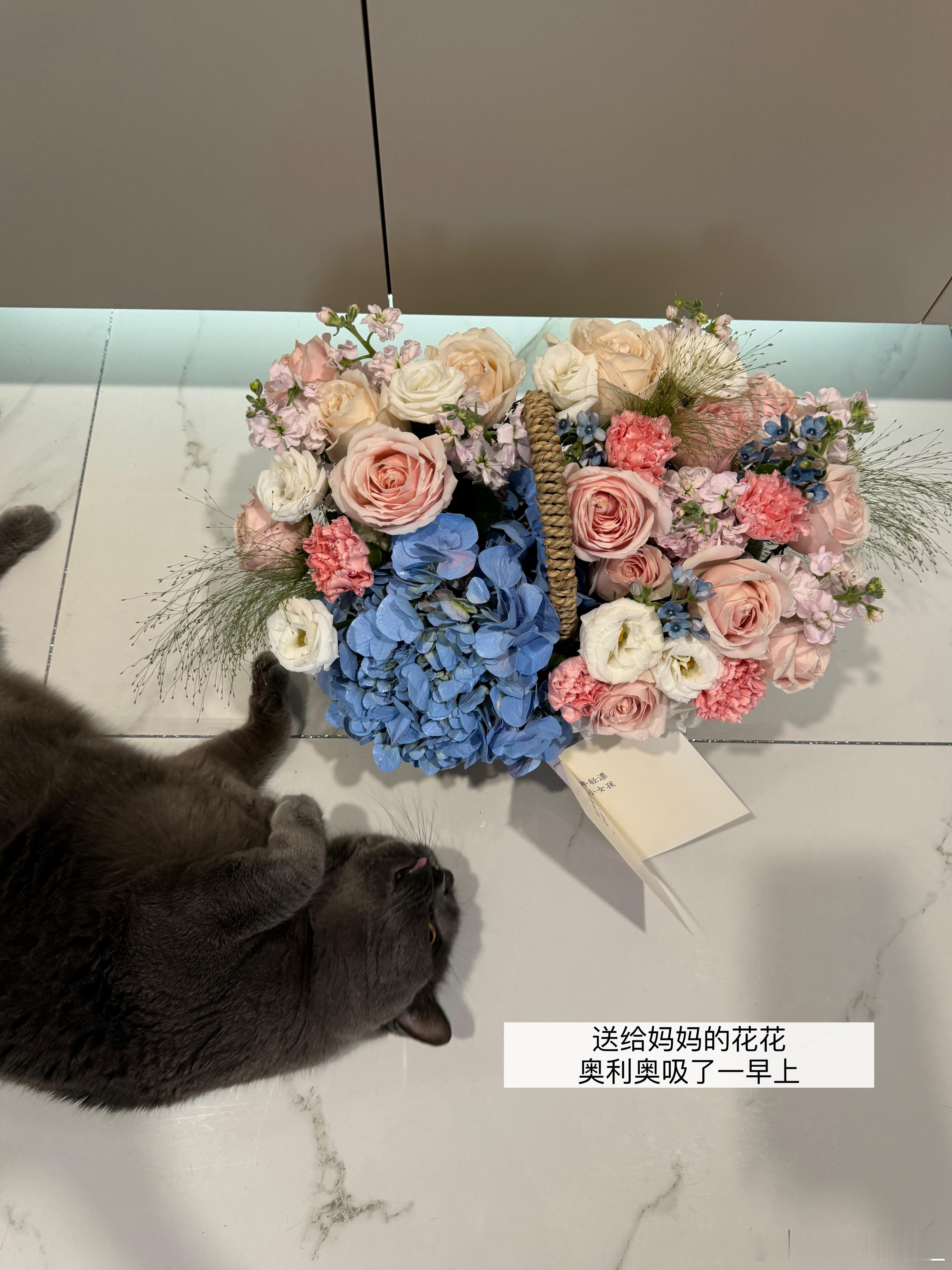 幸福的每每每一天🌸 ​​​