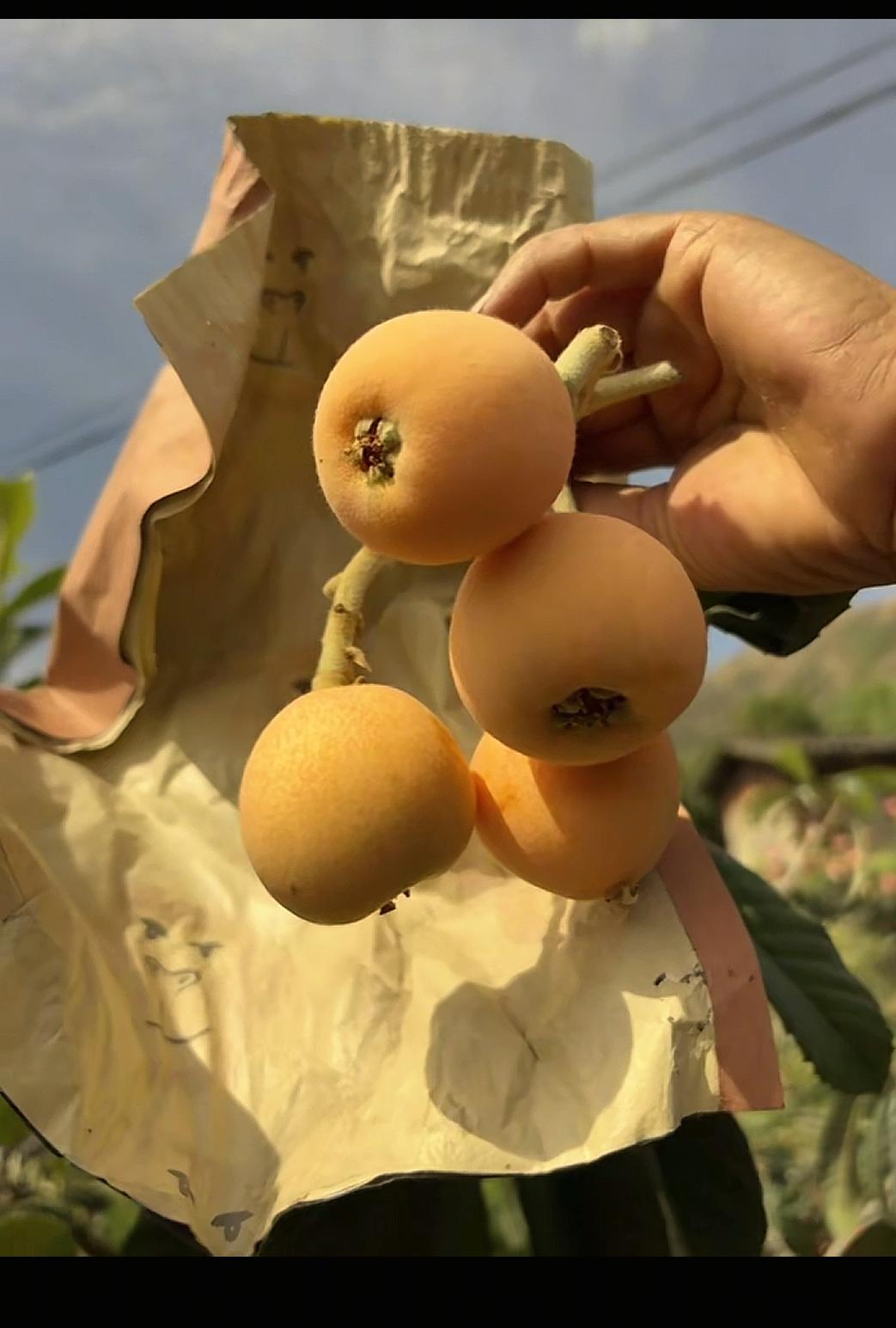 今天2月7日（周六），而影响下周A股最关键的几个国内外消息：

国内消息
1. 