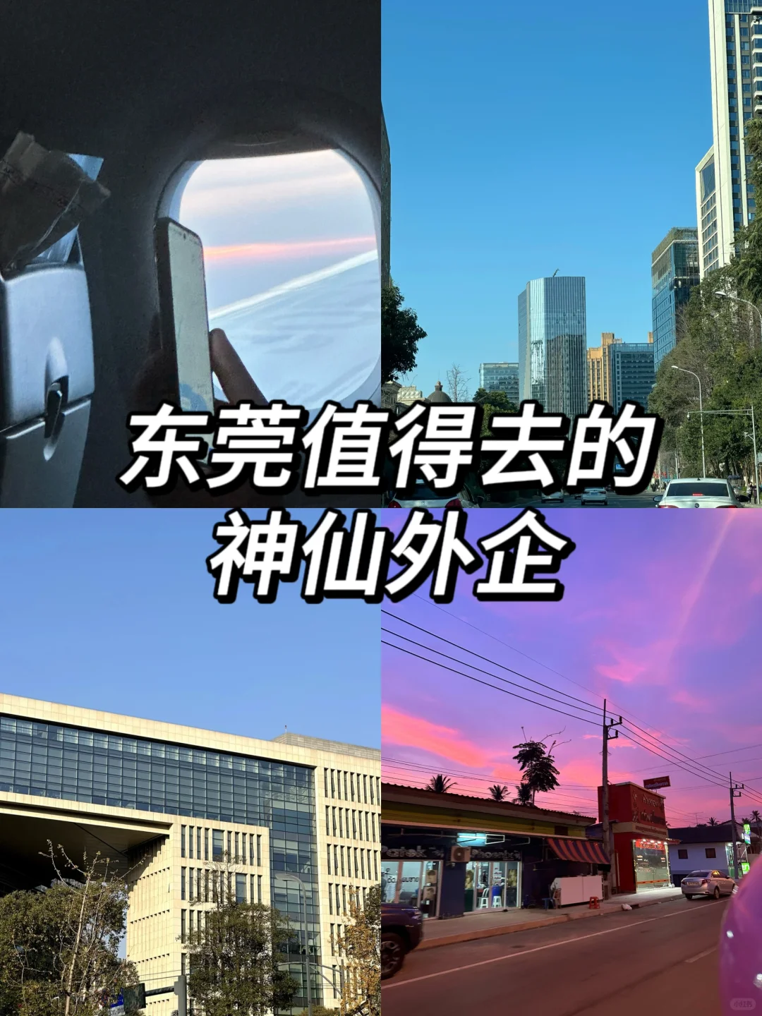 东莞真正值得去的神仙外企们