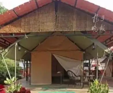 **美国女子在印度遭民宿员工下药强奸，被囚禁整整3天。**

**看到这条新闻的