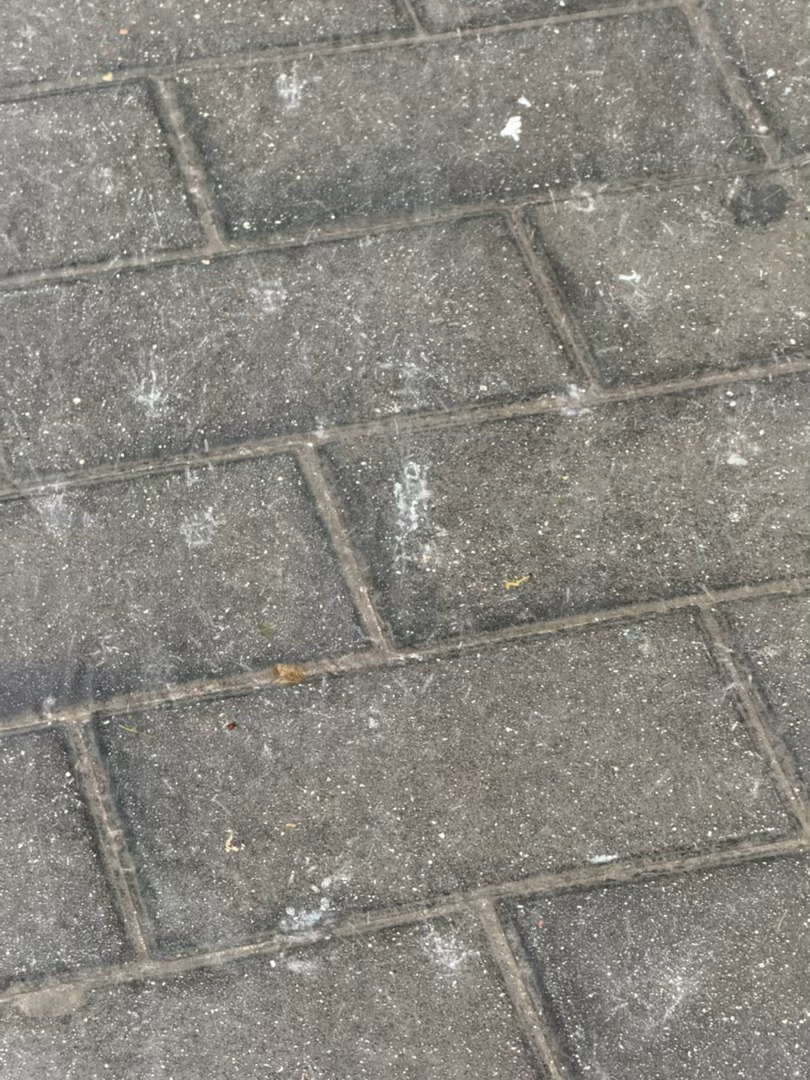 雨再这么下下去我看西安也未必不能被评为下一个江南水乡。 