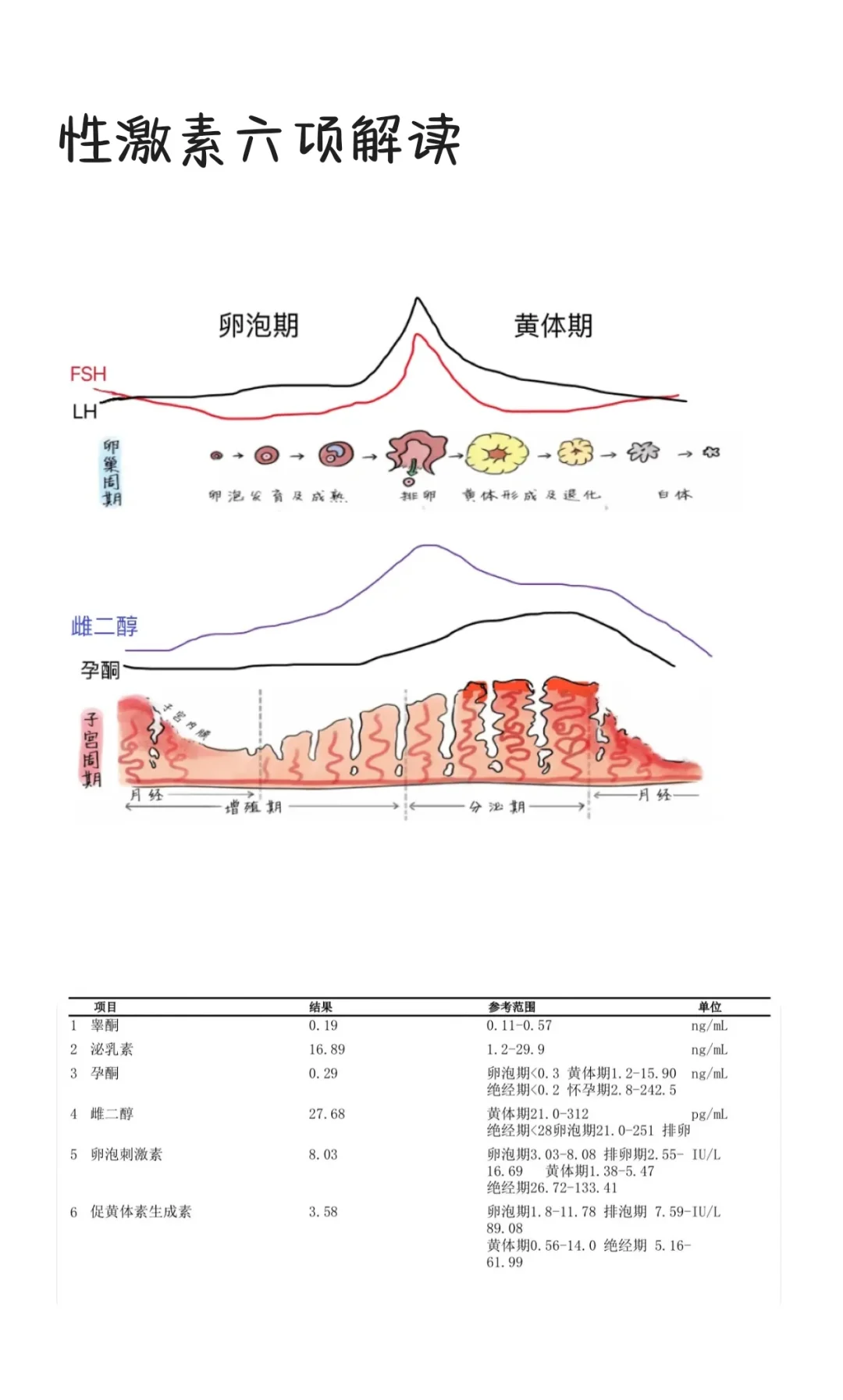 性激素六项解读