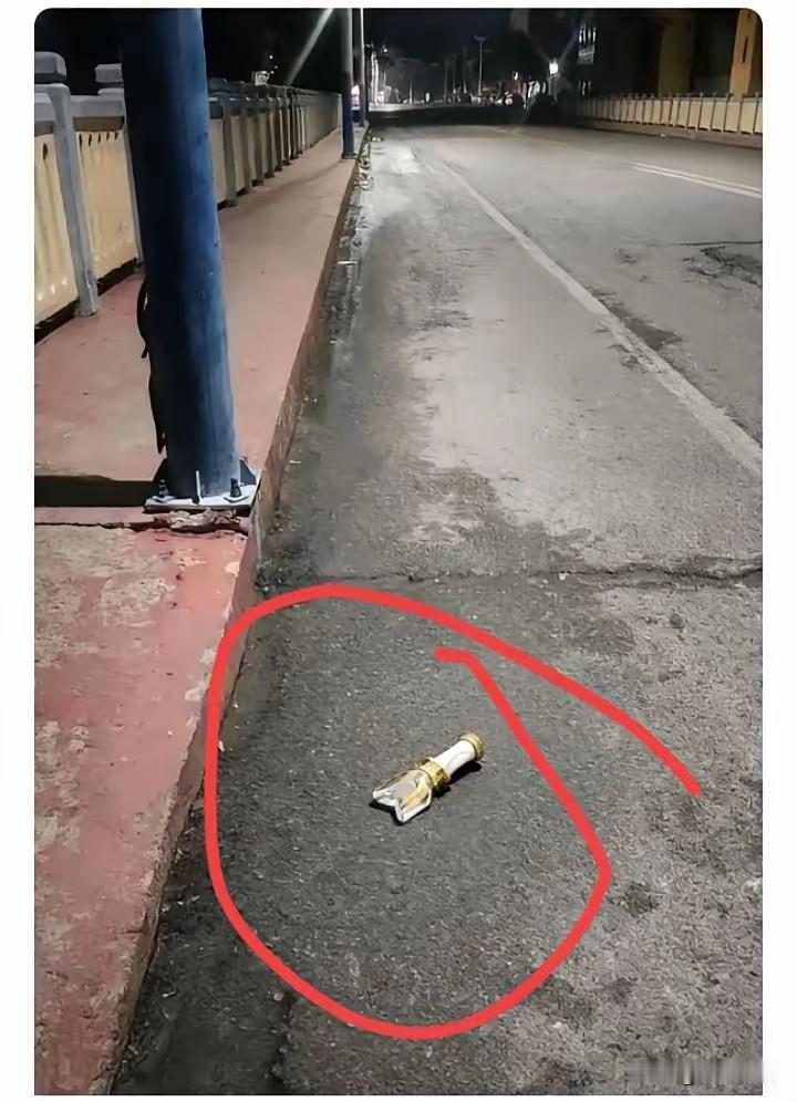 路上看到的，这是啥？