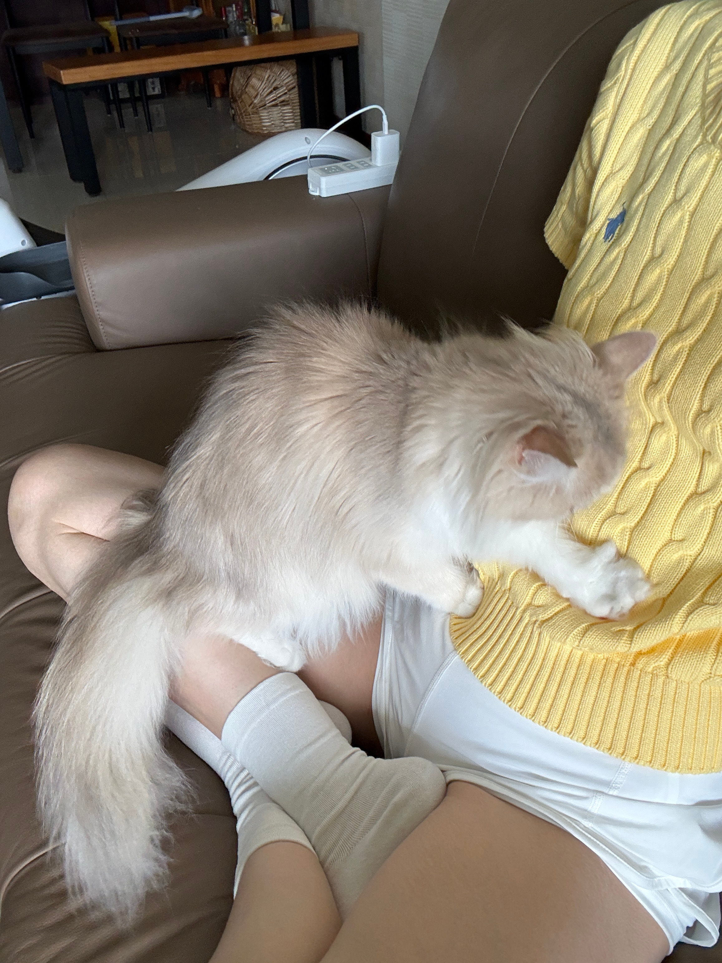 对女鹅的偏爱毛衣踩勾线了 妈也不赖你！ ​​​