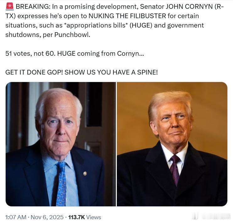 参议员约翰·科尔宁表示，他在某些情况下愿意废除阻挠议事（filibuster），