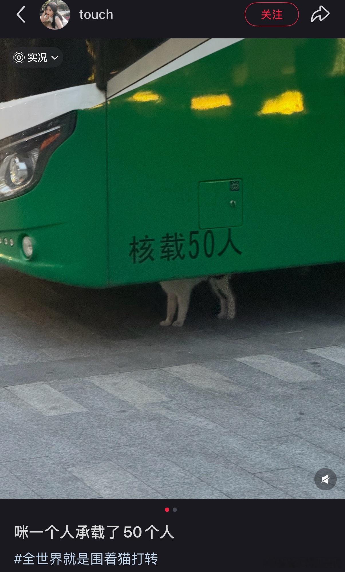 世界没有猫猫根本运行不了！ 