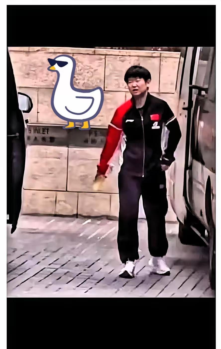 你以为她在赛场硬扛是拼搏？
在队医眼里，那叫自毁倒计时。
莎莎发球绵软、移动卡顿