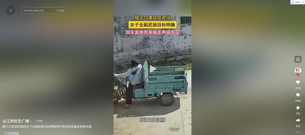 胆子太大了！近日，江苏一农户把收获的大蒜堆在自家门口晾晒，不料一名女子提前踩好点