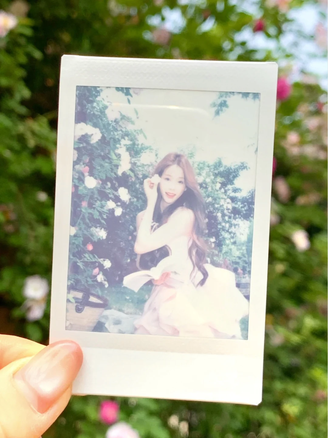 🌸୧• ᴗ •͈)左滑看我成像 .ᐟ.ᐟ