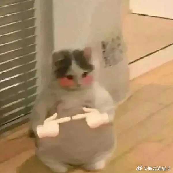每次看到平台大会一堆新饼只想着给我所有产产们舔 