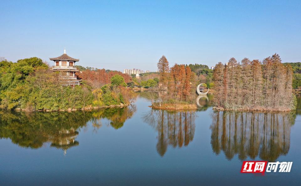 读《近思录》之3.12.1

又问：致知，先求之四端如何？曰：求之情性，固是切于