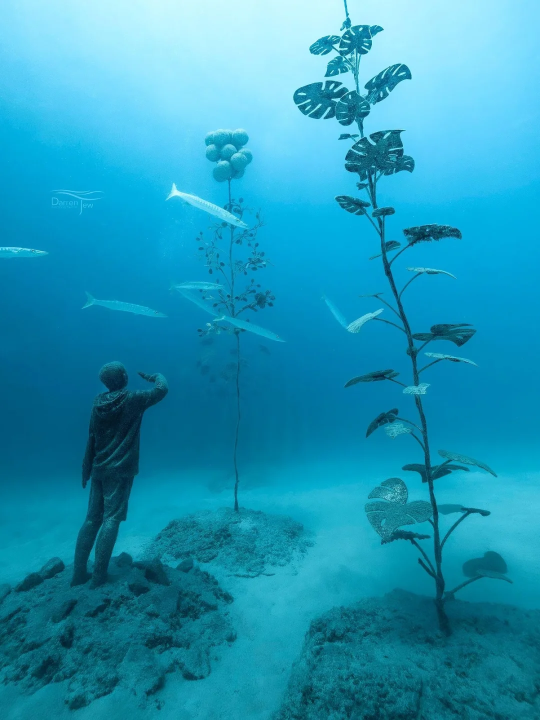 澳洲小众打卡🪸探索海底神秘的水下博物馆！