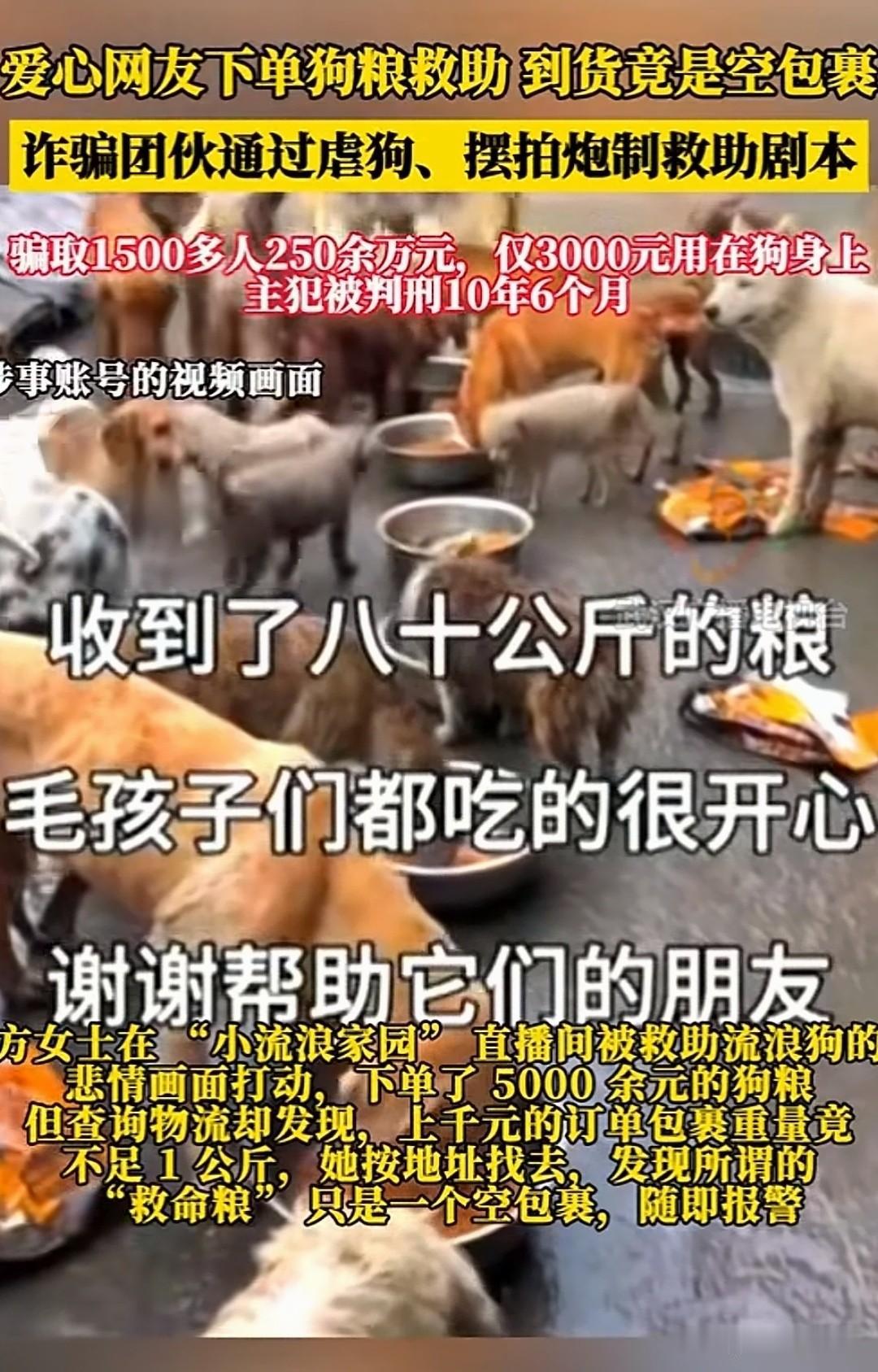 女子下单5000元救助狗粮，
包裹拆开竟是空袋，
背后牵出百万虐宠大案！

你有