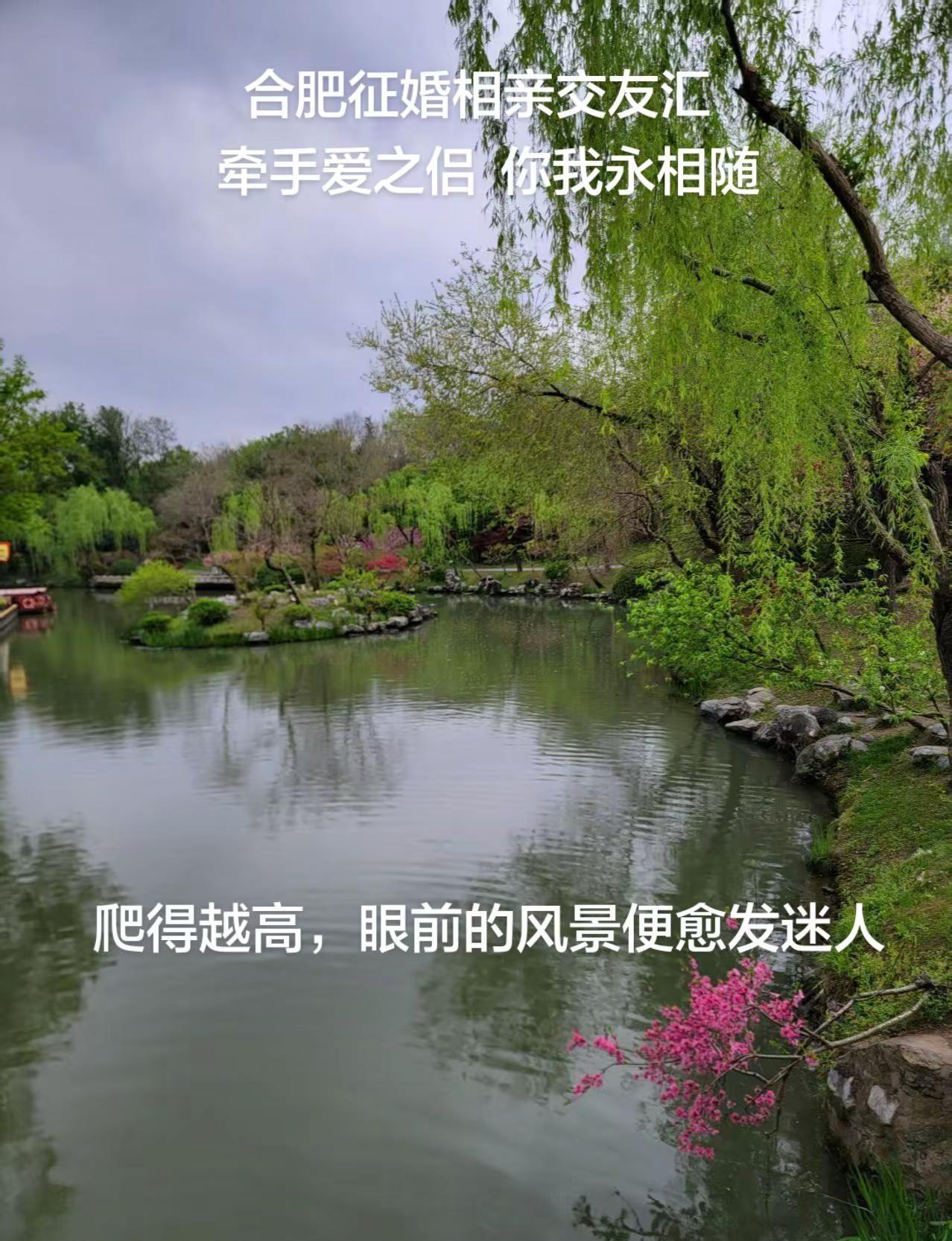 日常分享江南水乡美如画 诗画瘦西湖 合肥征婚交友合肥红娘余帆有约