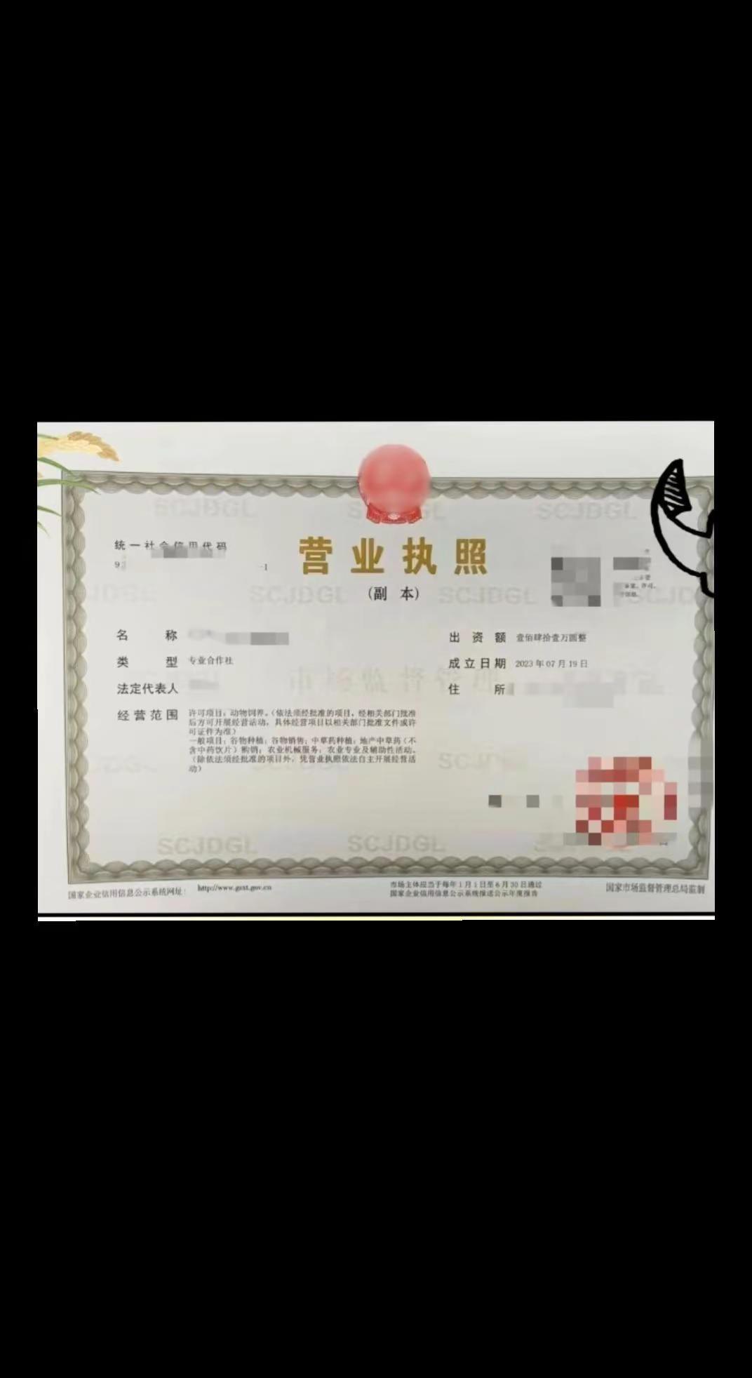 哎！我将永久性的失去你了，这9个多月的相伴，是我这一生学会最多的成长。什么兄弟，
