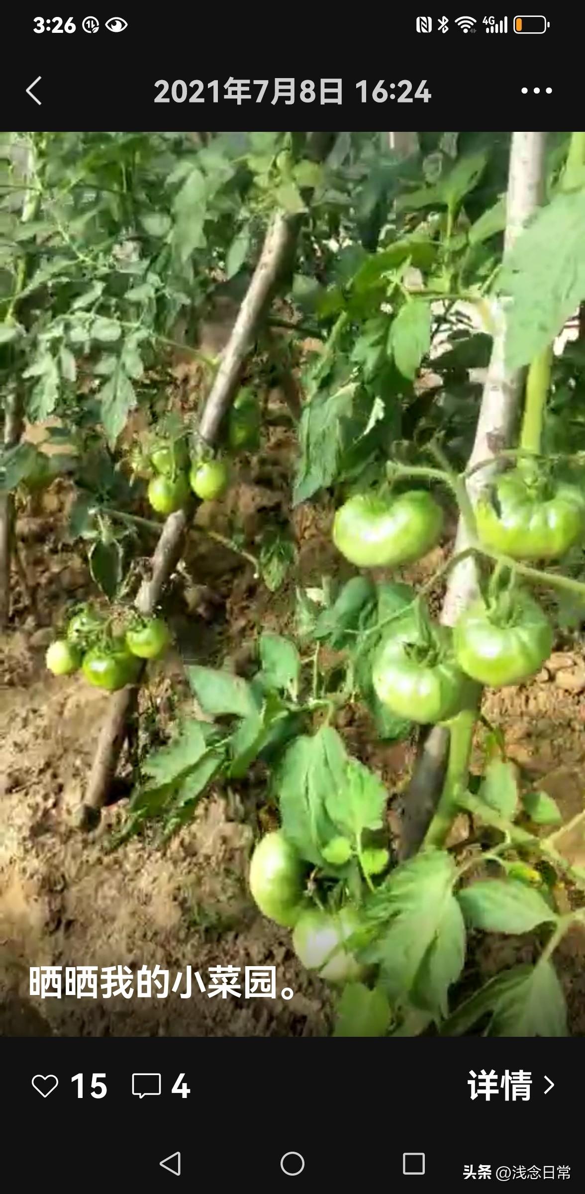 在沈阳城里打工十年，最惦记的还是老家半亩菜园
 
在沈阳打拼整整十年，月薪再高，