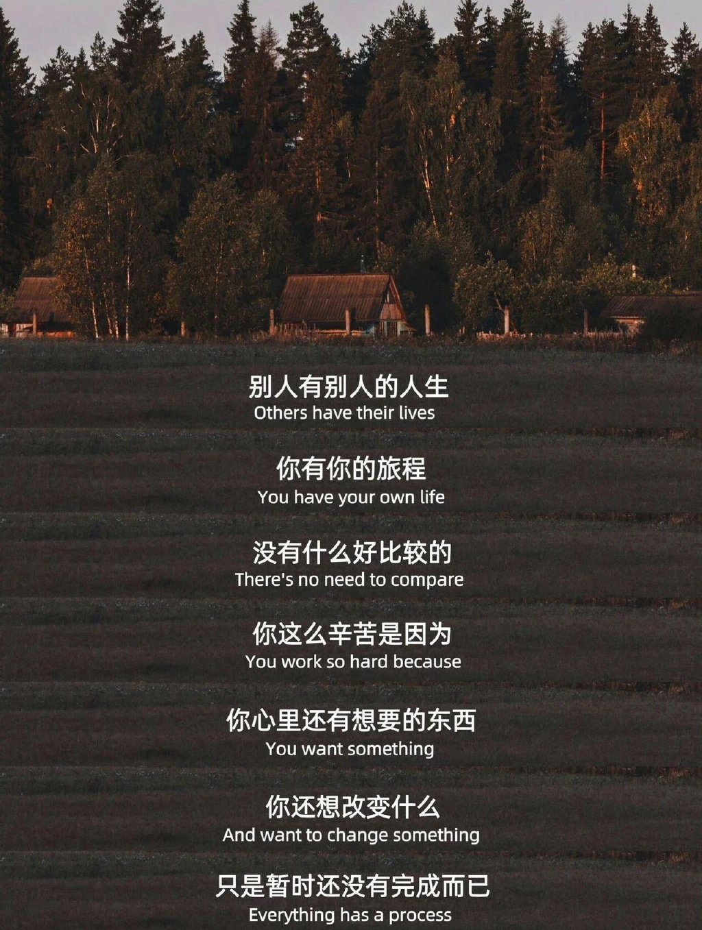 别人有别人的人生，你有你的旅程。 ​​​