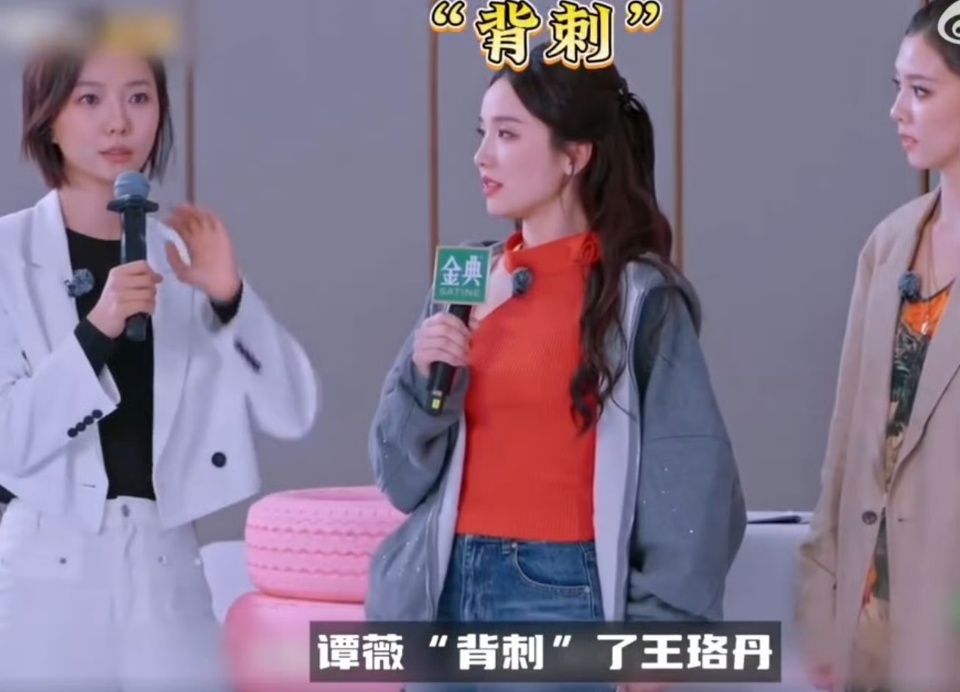 情感博主谈谭薇四公选人谭姐四公选人被情感博主锐评，直言这氛围仿若甄嬛再现，姐姐们