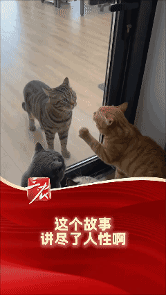 这个故事讲尽了人性啊……[泣不成声]