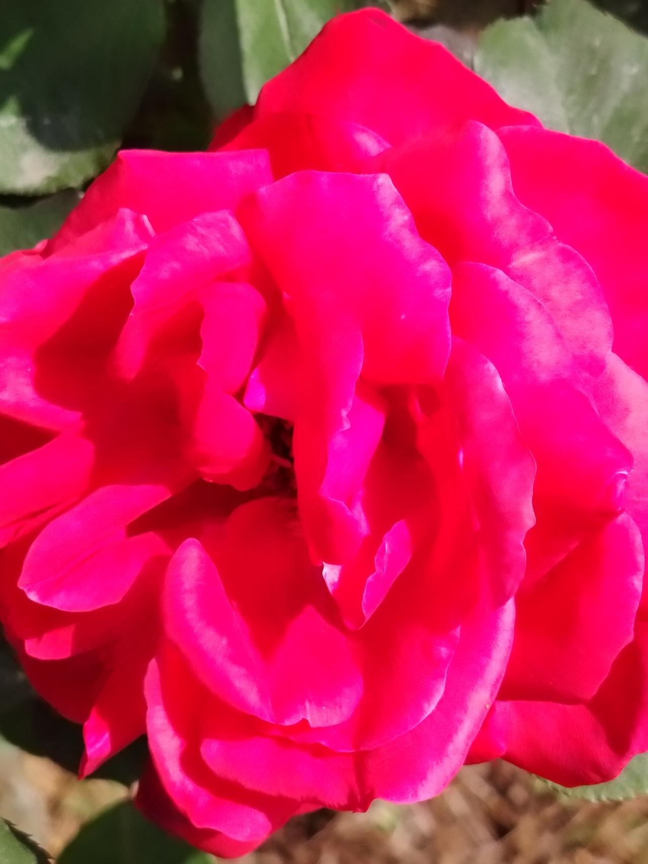 《父母爱情》里谁演得最好？电视剧《父母爱情》里演得最好的是江德福，虽然是个工农干