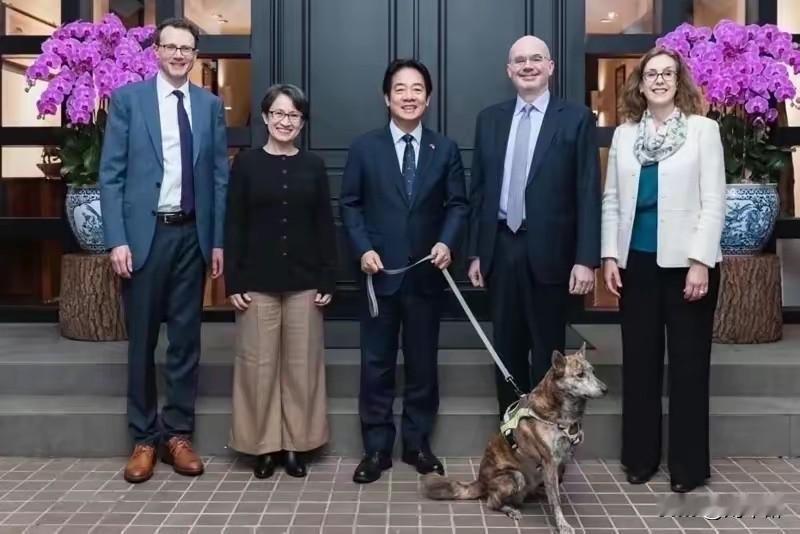 美方外交官组团会见赖清德、萧美琴这伙“台独”分子，刻意摆拍造势。赖清德牵狗出镜，
