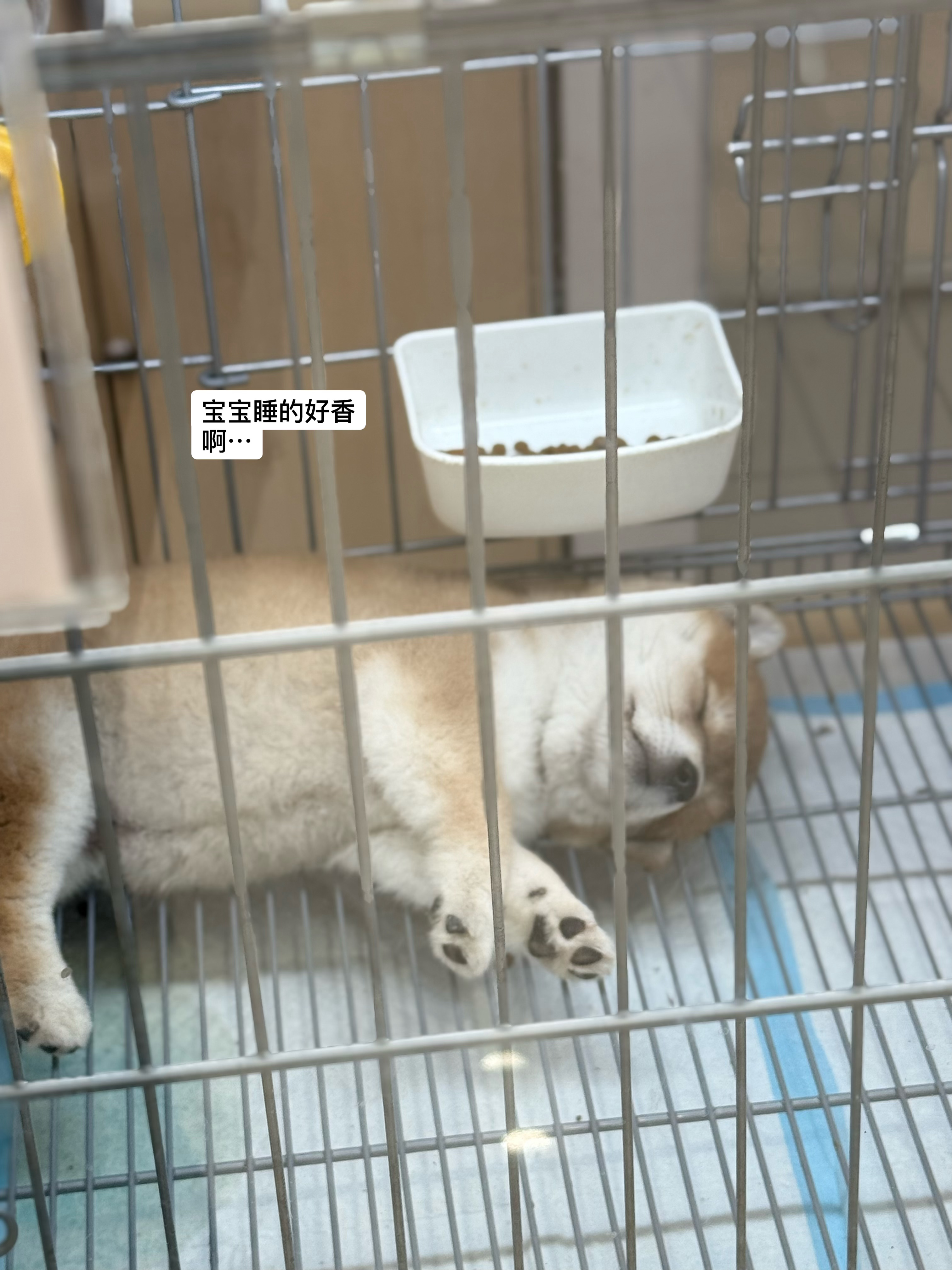 日常[超话] 也许我需要出门… ​​​