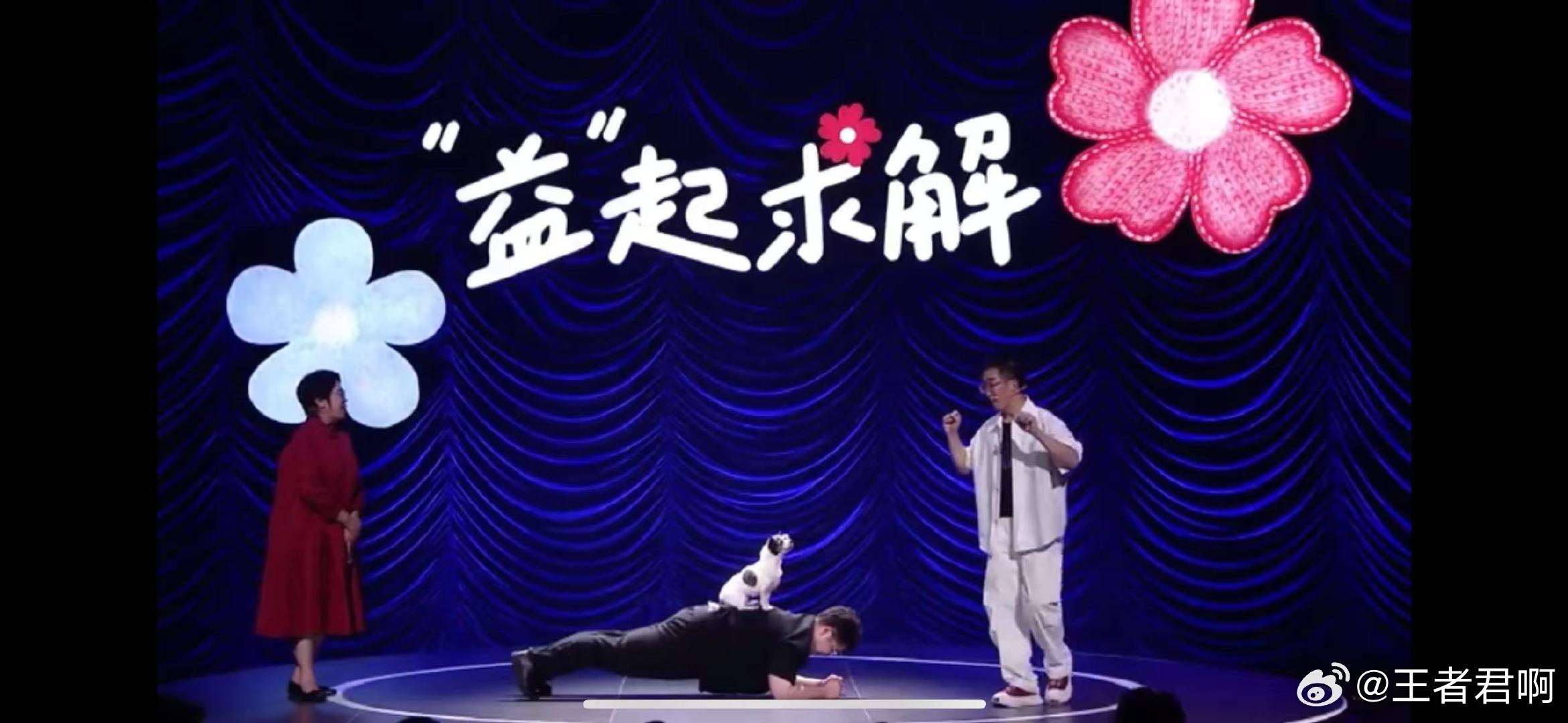 狗狗都能监督人类做平板支撑了 被一只13岁的高龄狗狗治愈到了 尤达的敬业让人佩服