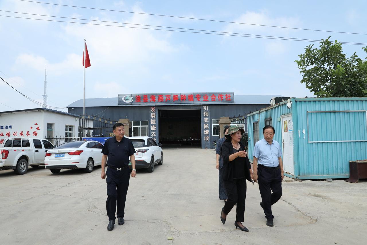 如火七月 情暖前岗：时代报告寻访和美乡村领头人

今天是入伏的第二天，豫北盛夏七