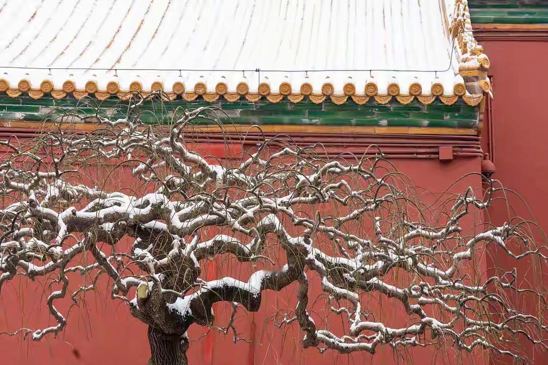 北京下雪  北京的名胜古迹多，历史底蕴厚，一到下雪天的时候，往往最美。故宫、天坛